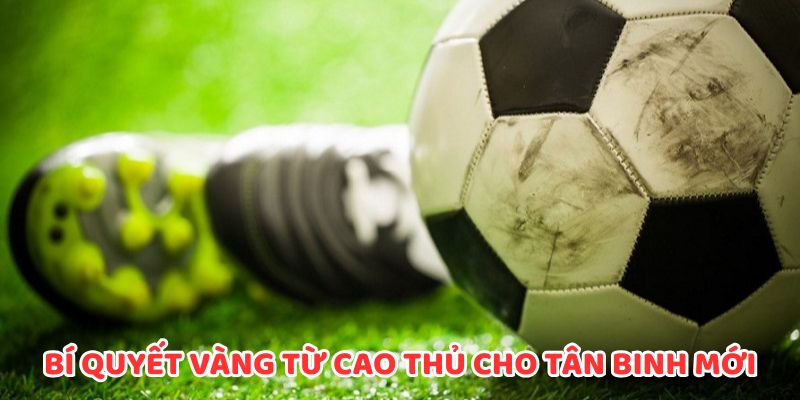 Bí quyết vàng từ cao thủ cho những tân binh mới tham gia