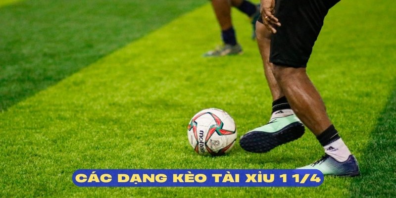 Đa dạng các dạng cược tài xỉu 1 1/4