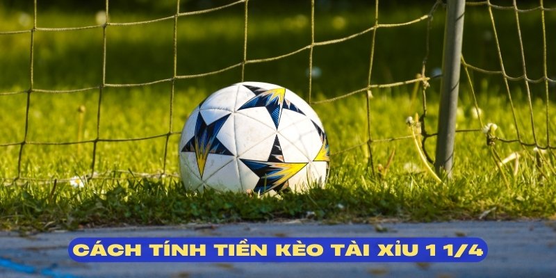 Kèo tài xỉu 1 ¼ có cách tính tiền hết sức đơn giản