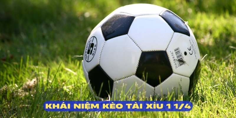 Kèo tài xỉu 1 ¼ là thể loại cần nhiều kinh nghiệm
