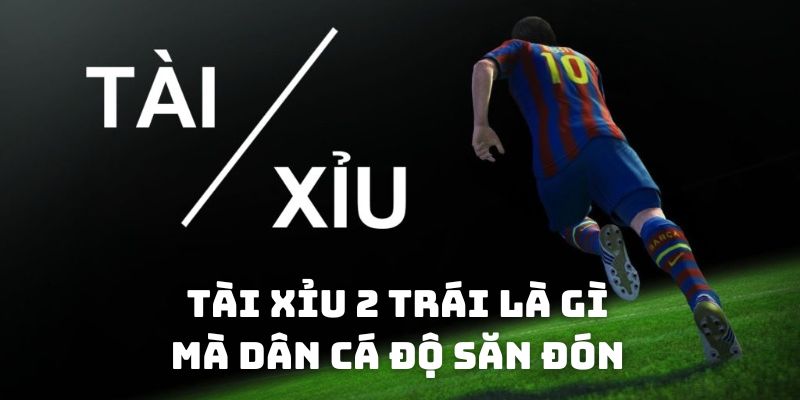 Tài xỉu 2 trái là gì mà dân cá độ săn đón