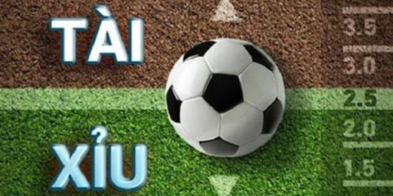 Tài Xỉu 2 Trái