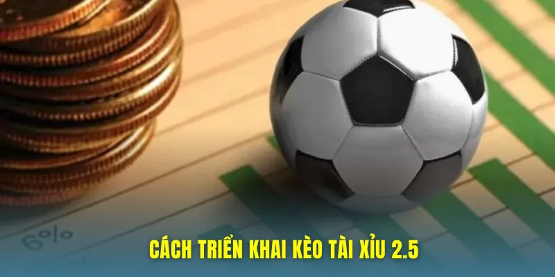 Cách triển khai kèo tài xỉu 2.5