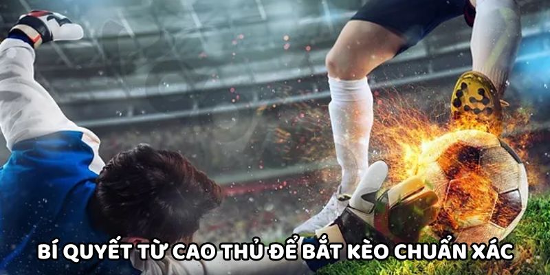 Bí quyết từ cao thủ để bắt kèo chuẩn xác