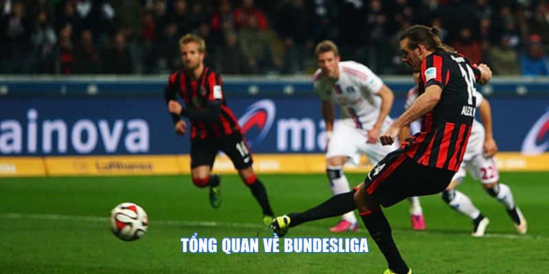 Tổng quan về Bundesliga