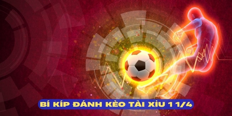 Vận dụng bí kíp đánh kèo tài xỉu 1 ¼ hiệu quả