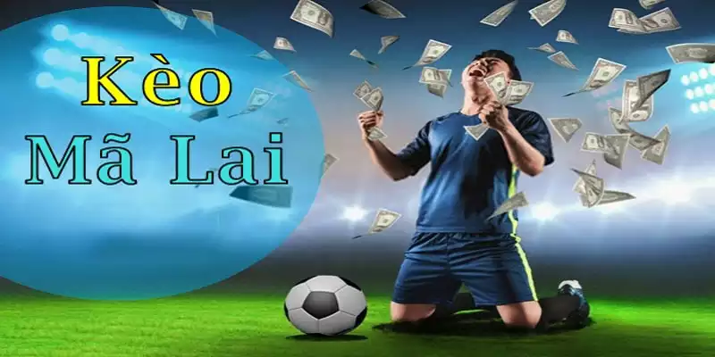 Hướng dẫn cách đọc tỷ lệ kèo Malaysia đơn giản & dễ hiểu