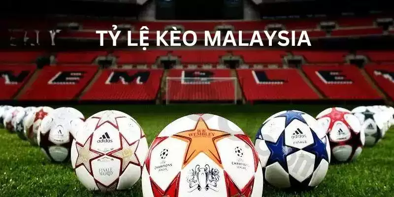 Chia sẻ kinh nghiệm đặt cược kèo Malaysia hiệu quả